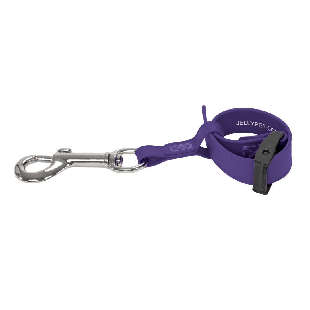 Safety Tether Purple by Jelly Pet
