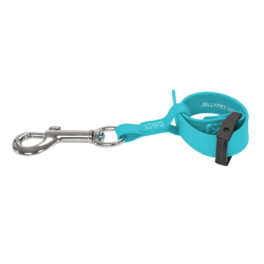 jelly-pet-safety-tether-teal