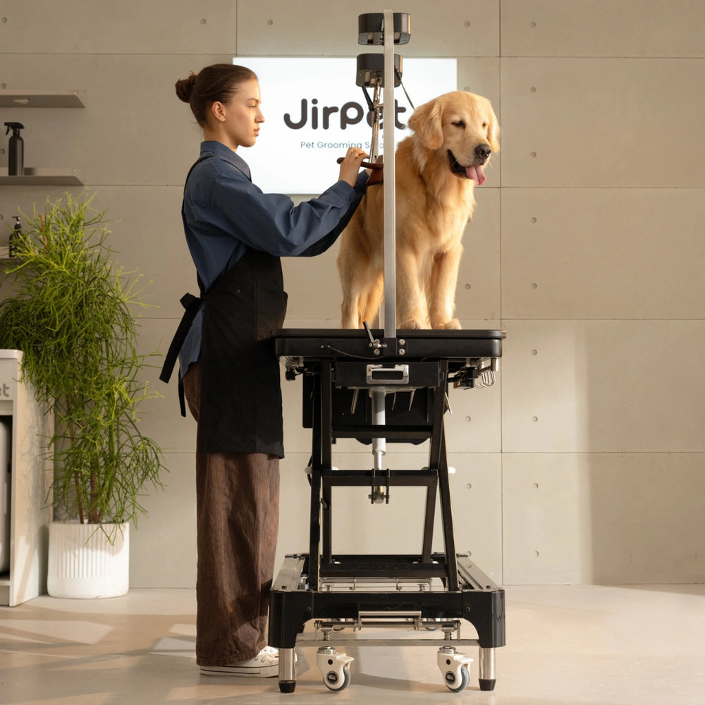 jirpet-atlas-electric-grooming-table-with-adjustable-height-led-arm