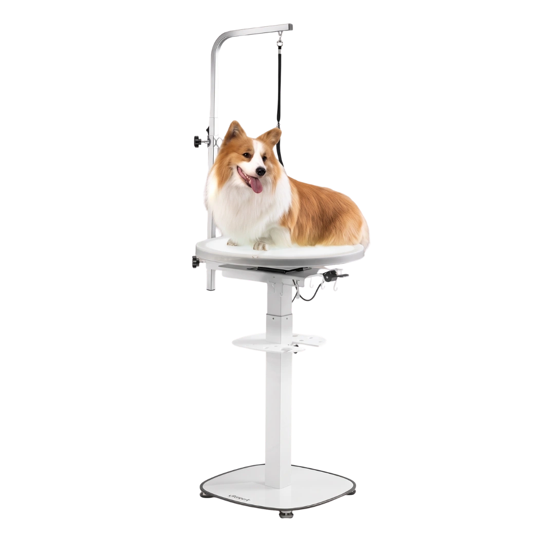 jirpet-revolve360-hydraulic-360-rotating-grooming-table-with-tabletop-light