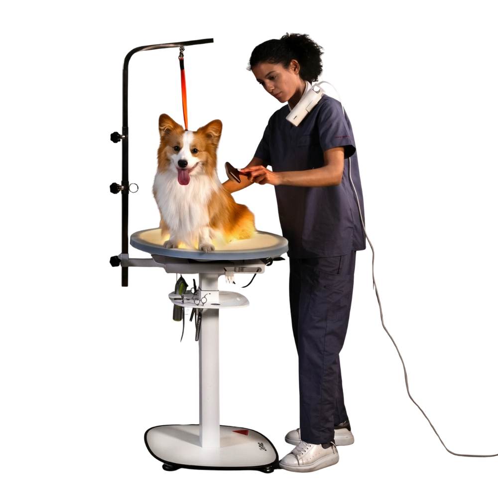 jirpet-revolve360-hydraulic-360-rotating-grooming-table-with-tabletop-light