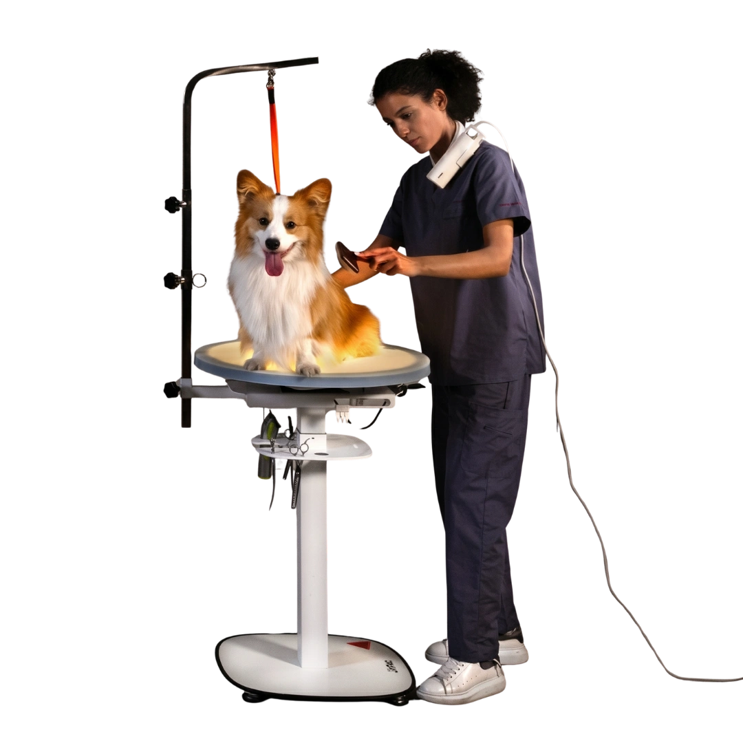 jirpet-revolve360-hydraulic-360-rotating-grooming-table-with-tabletop-light
