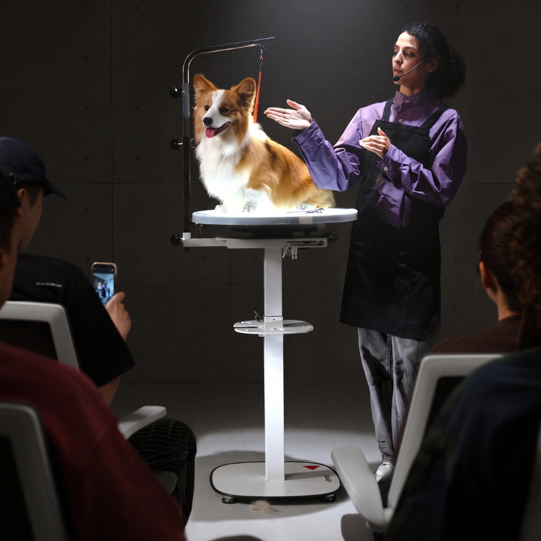 jirpet-revolve360-hydraulic-360-rotating-grooming-table-with-tabletop-light