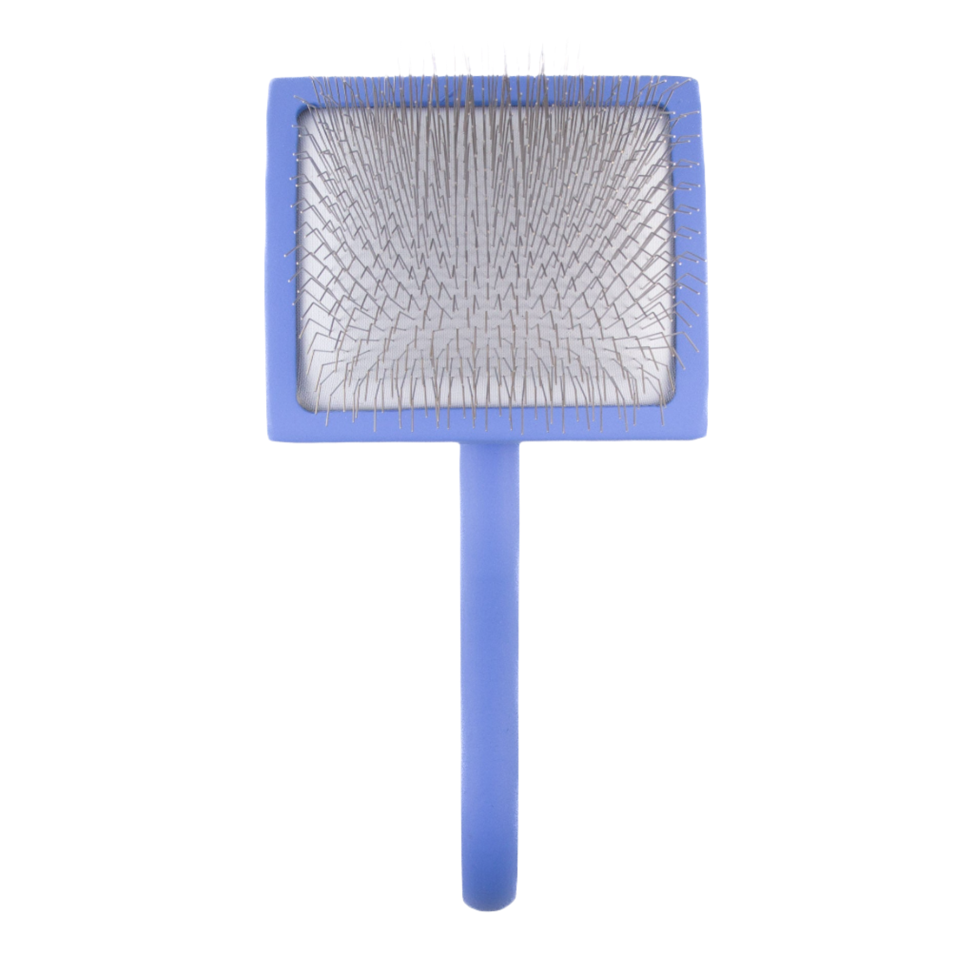 Large Curved Blue Dematting Brush by PetStore.Direct