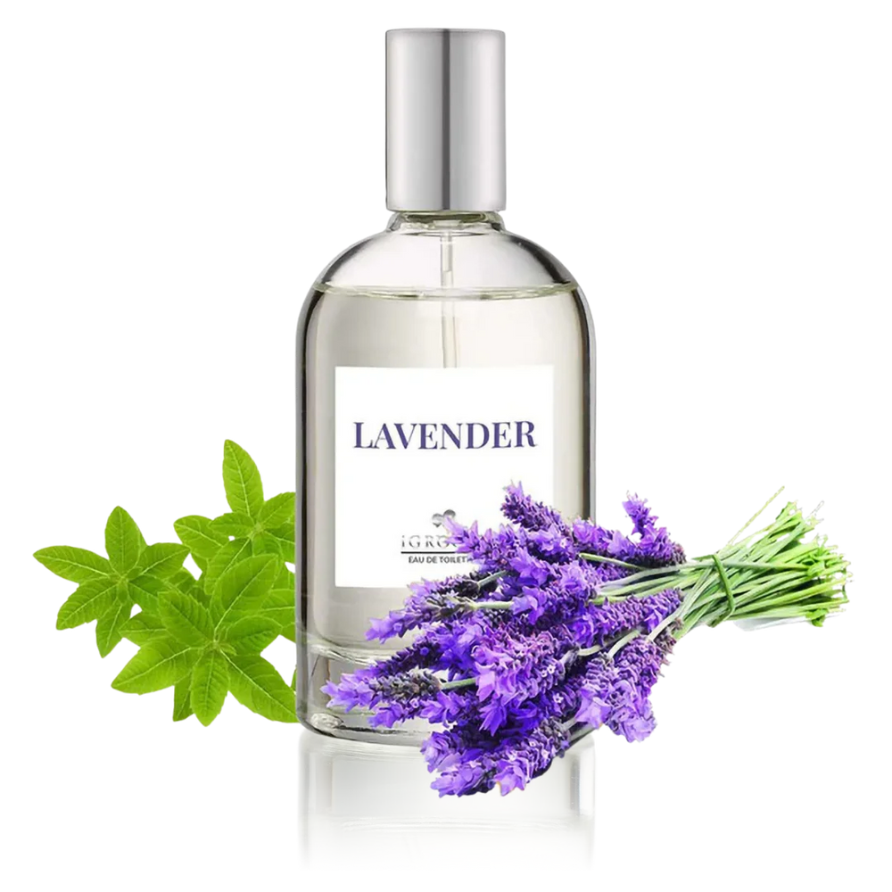 iGroom Lavender Perfume 100ml