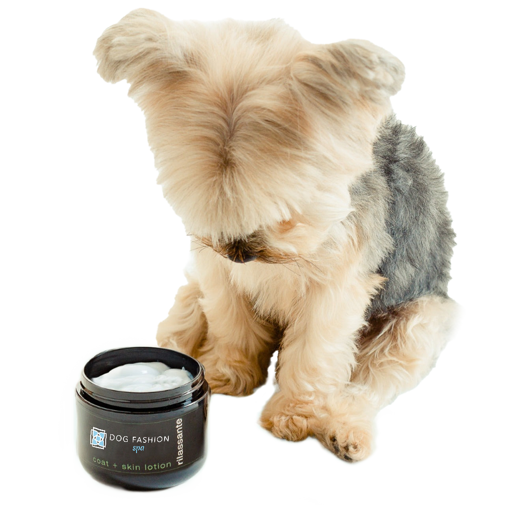 Dog Fashion Spa Leave-in Rilassante Lotion 4oz