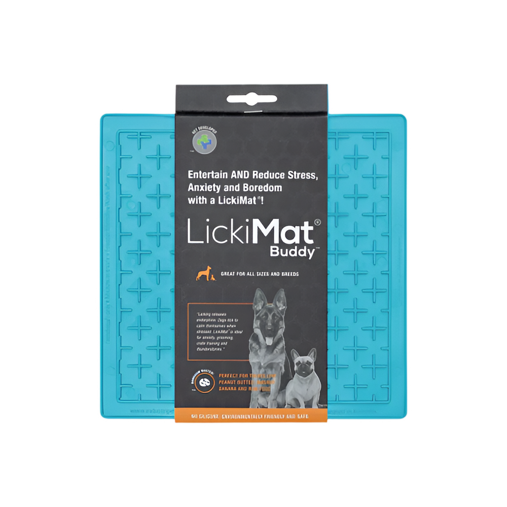 Buddy for Dogs Turquoise by LickiMat