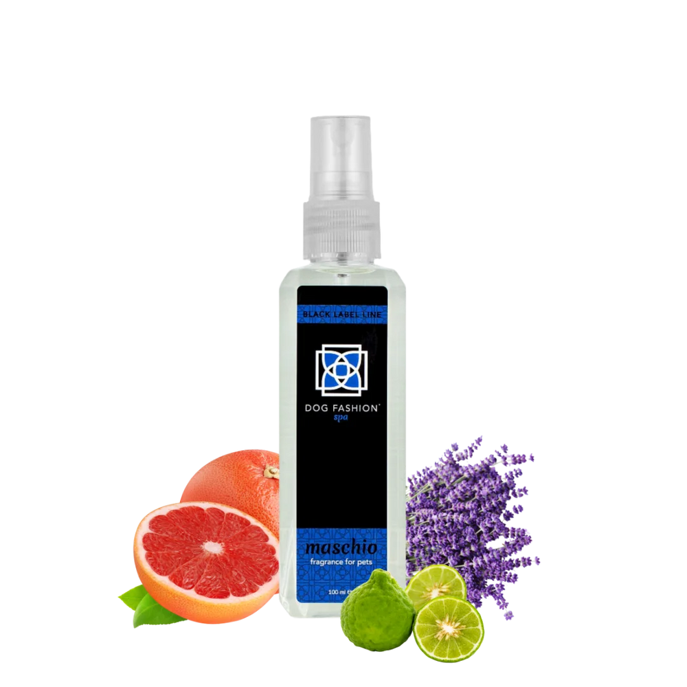 Maschio Fragrance 100 ml by Dog Fashion Spa