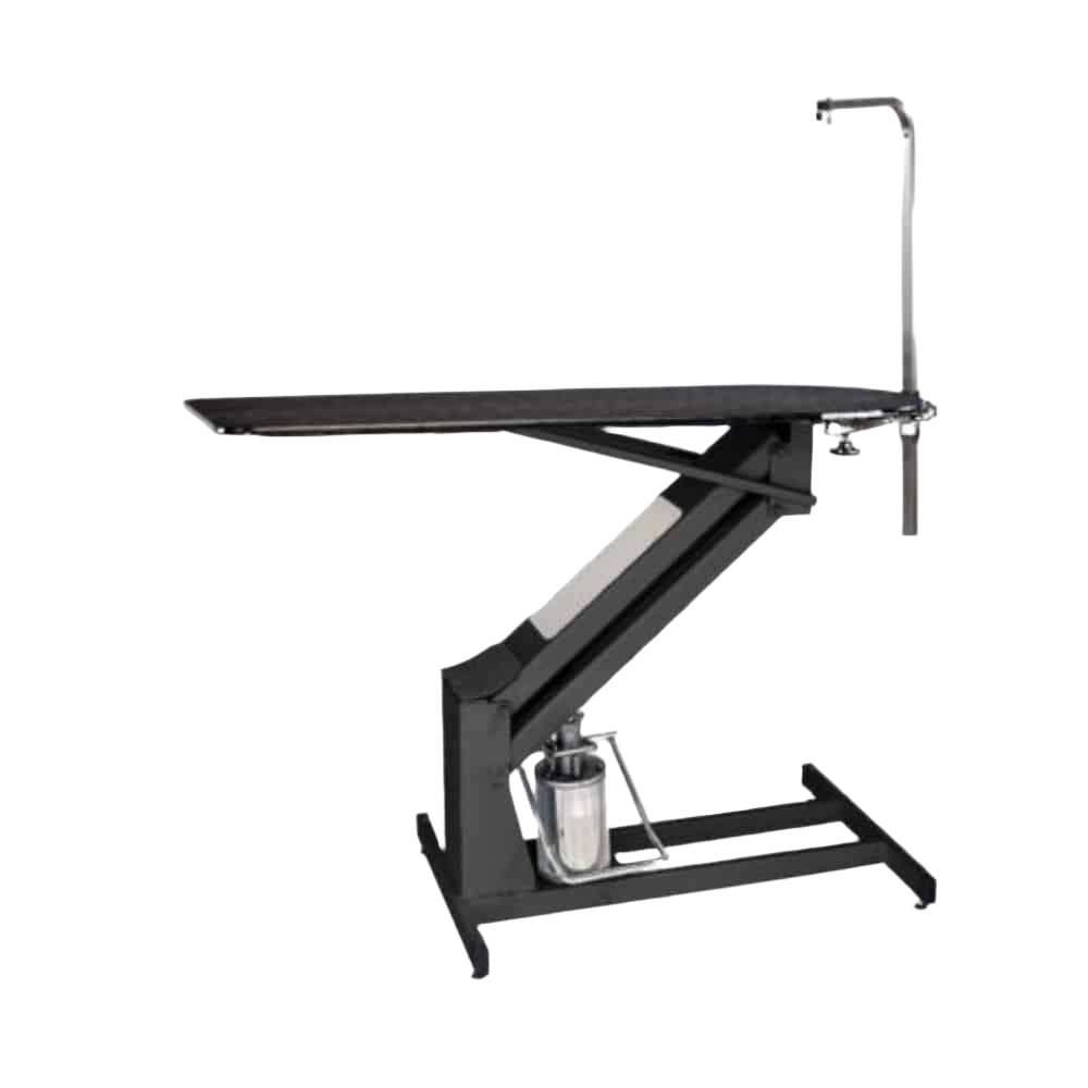MasterLift Hydraulic Grooming Table with Rotating Post by PetLift