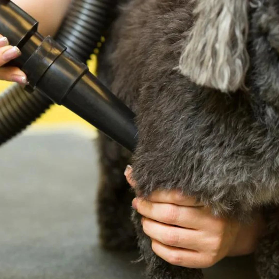 Dog fur blaster outlet