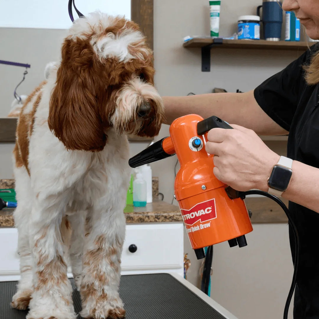 Quick Draw Dog Dryer by Metrovac