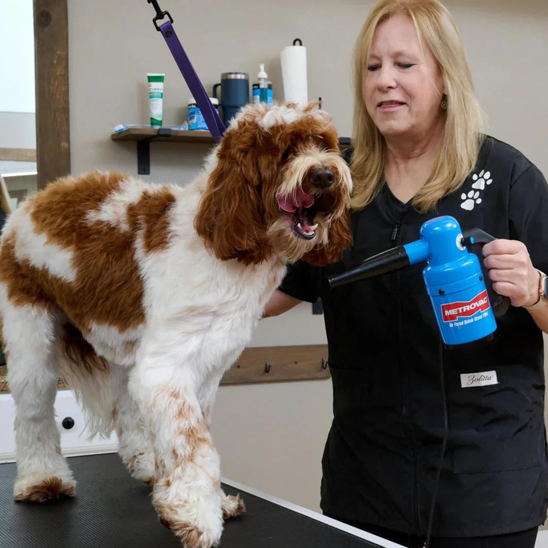 Quick Draw Dog Dryer Mini by Metrovac
