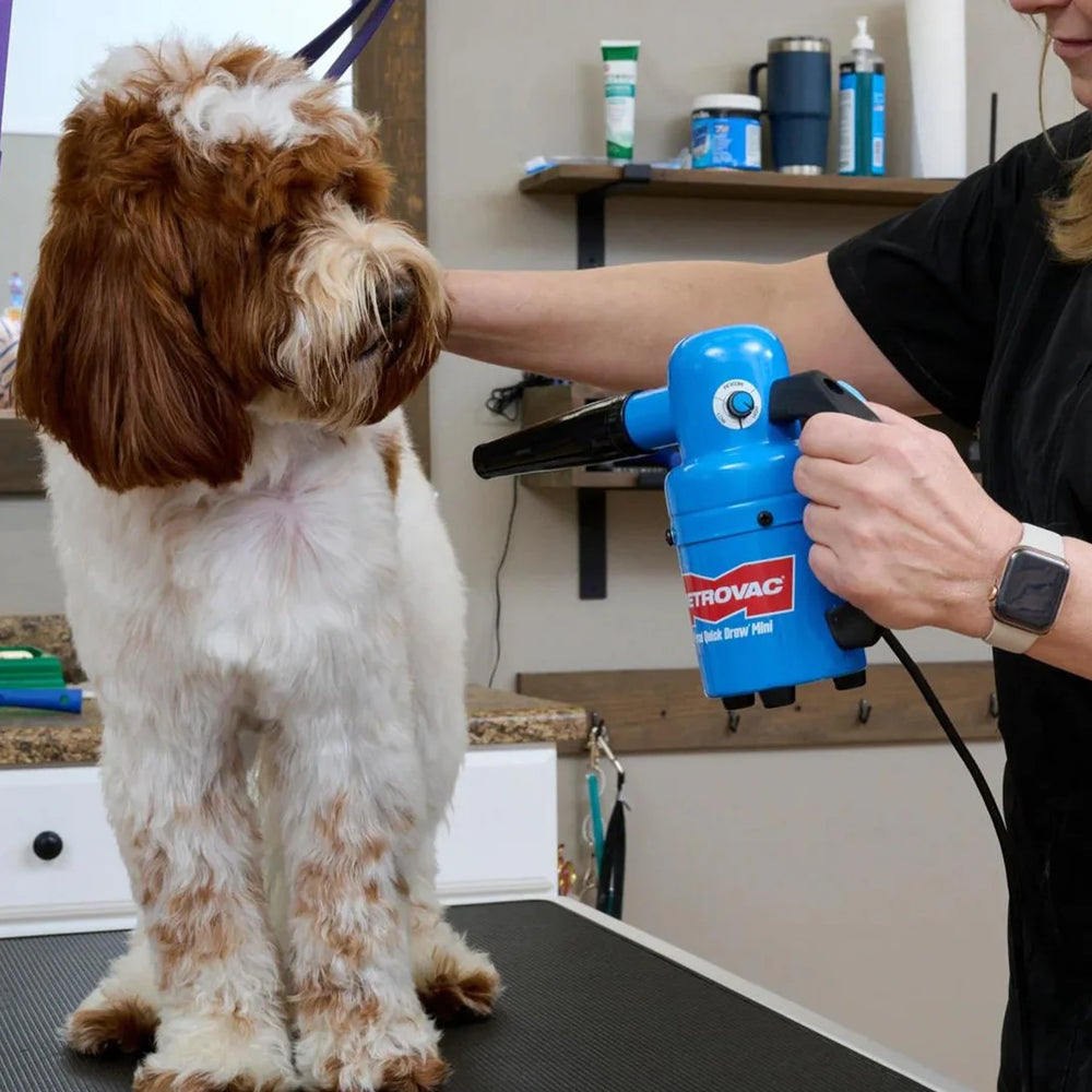 Quick Draw Dog Dryer Mini by Metrovac