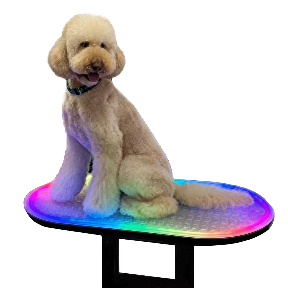 multi-color-led-light-for-tzgroom-table