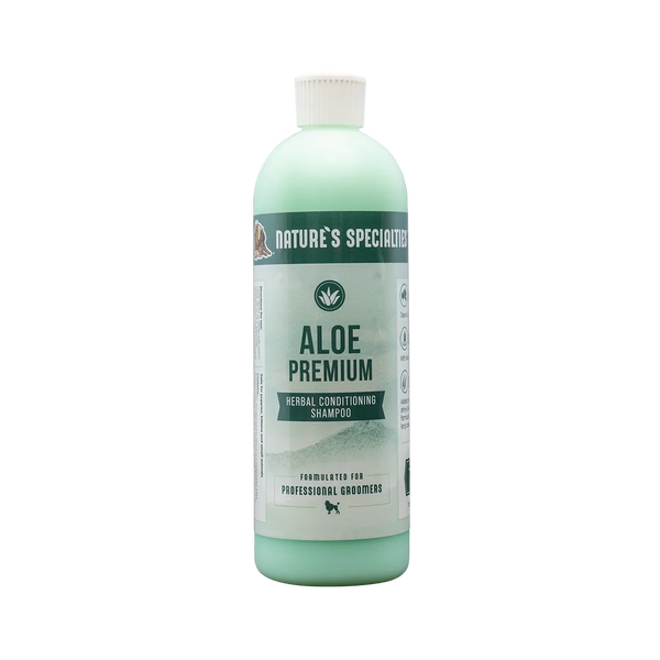 mini aloe vera plant Aloe Vera Green Mini Plant – Ugaoo