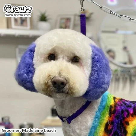 opawz permanent dog hair dye indigo purple