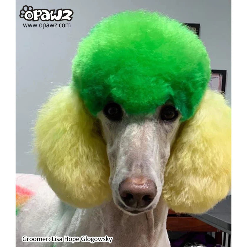 opawz permanent dog hair dye profound green