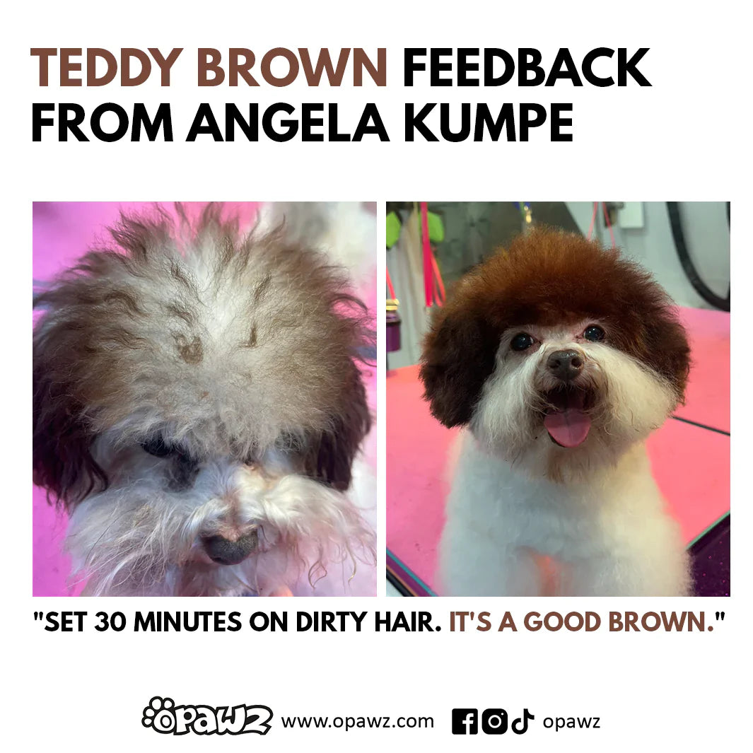 opawz permanent dog hair dye set teddy brown
