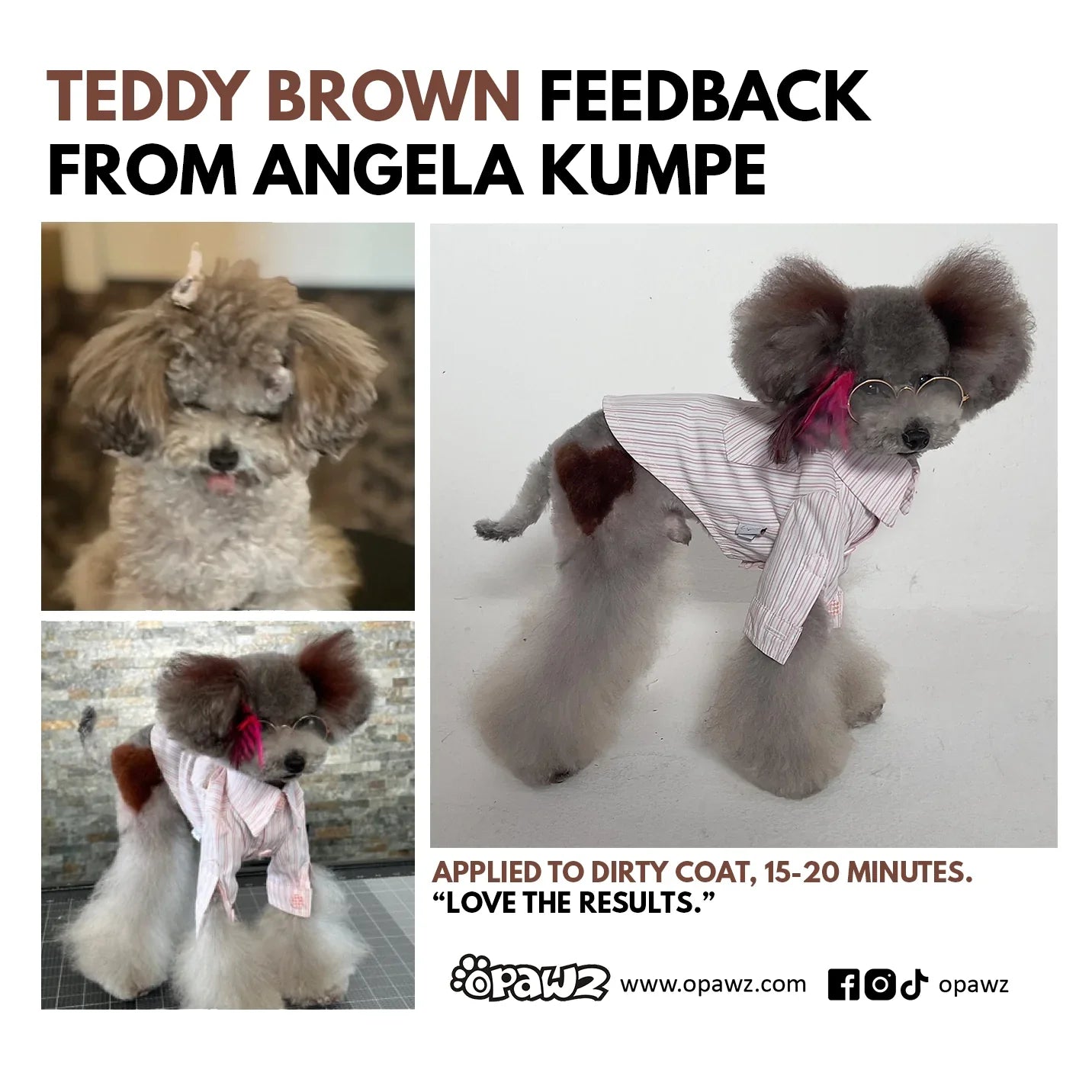 opawz permanent dog hair dye set teddy brown