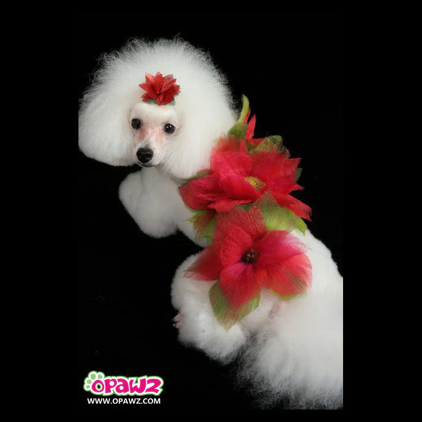 opawz permanent dog hair dye hot red