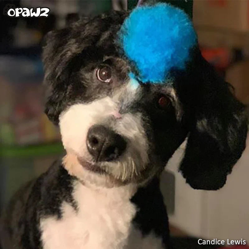 opawz permanent dog hair dye innocent blue