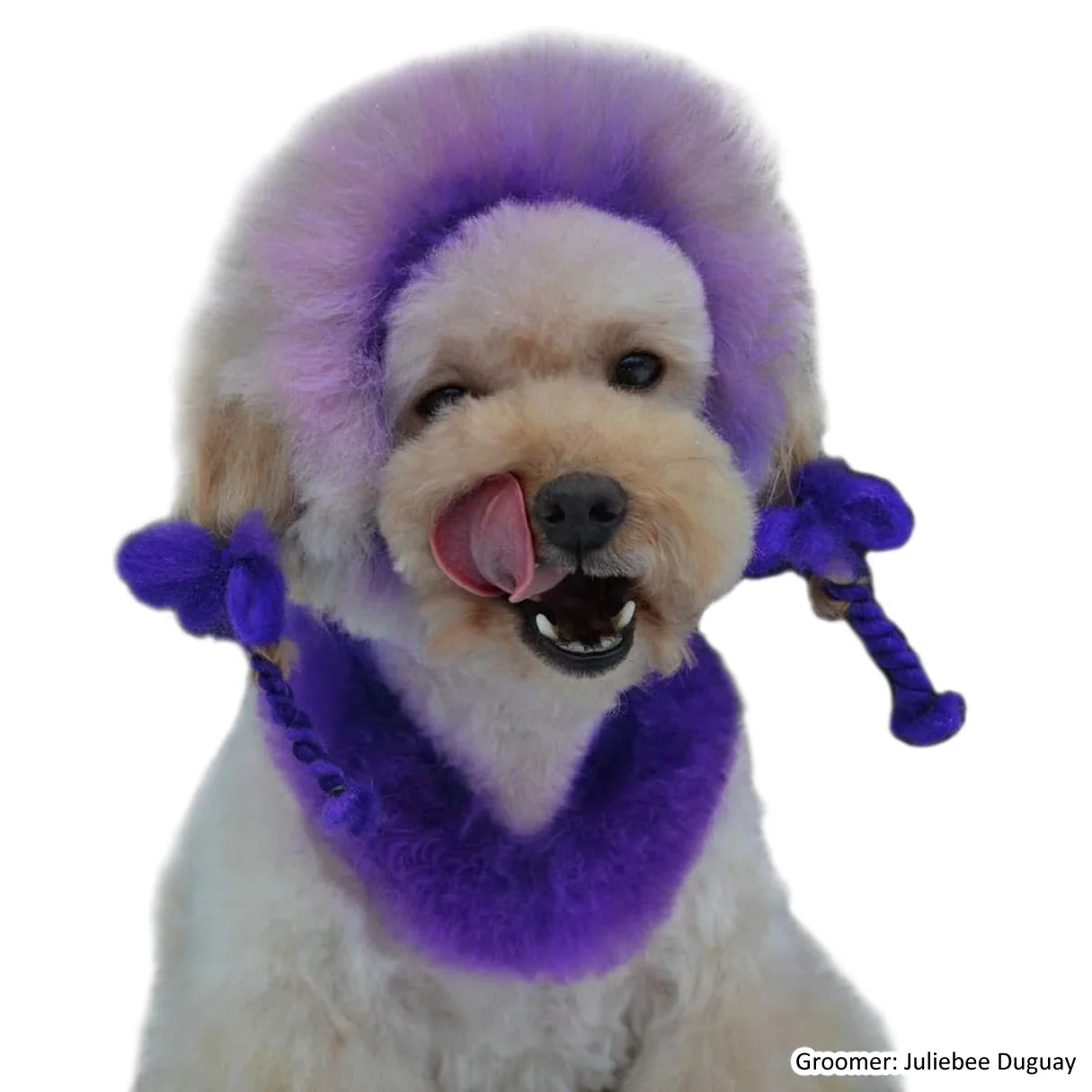 opawz permanent dog hair dye indigo purple