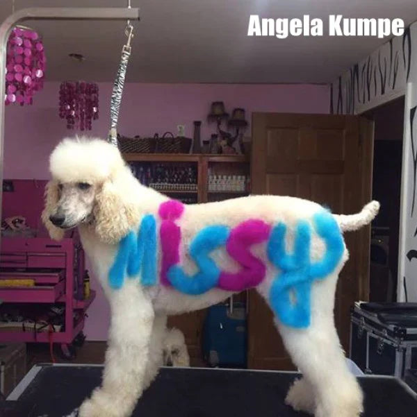 opawz permanent dog hair dye innocent blue