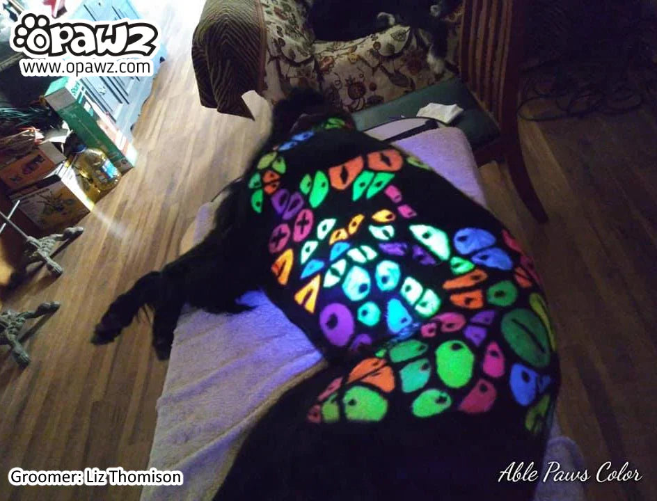 opawz temporary color paste
