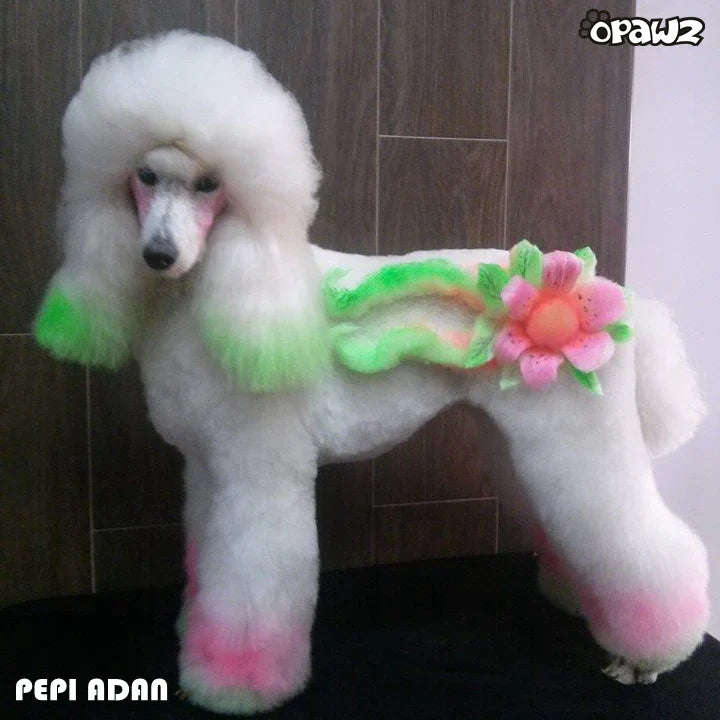 opawz  temporary color paste