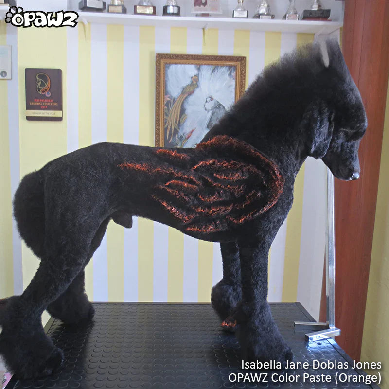 opawz temporary color paste