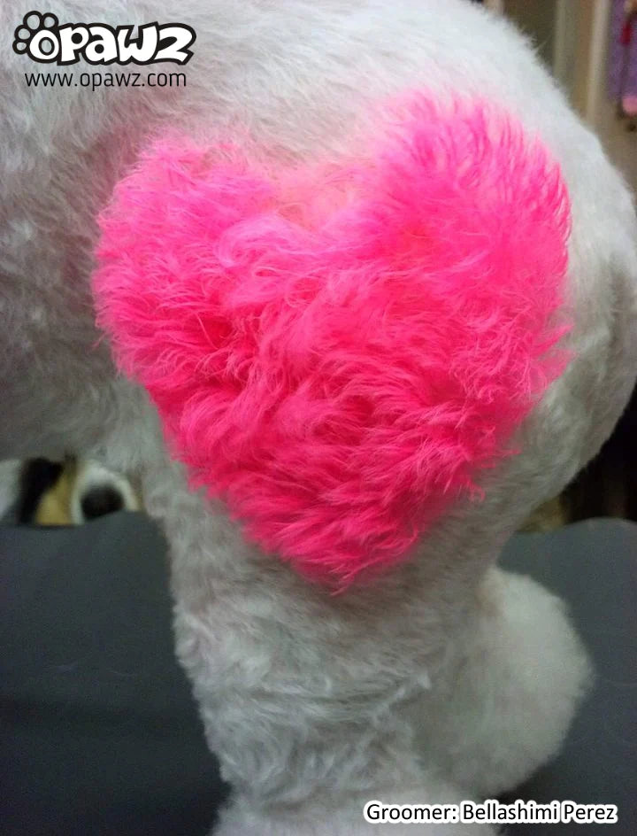 opawz  temporary color paste pink