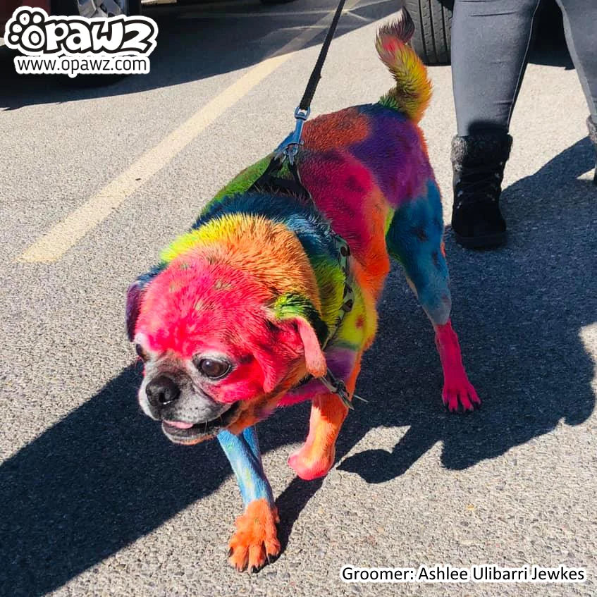 opawz temporary color paste