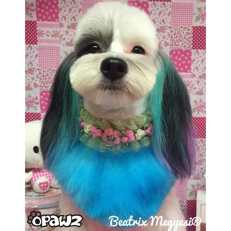 Blue dog hair dye hot sale