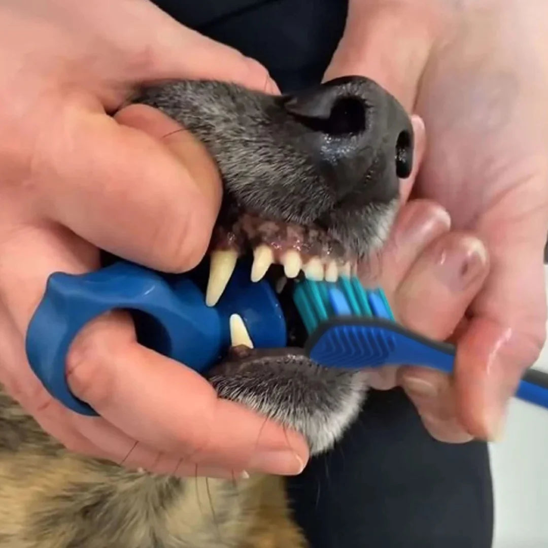 paw-ready-blue-brushmate-premium-toothbrush-with-biteblock