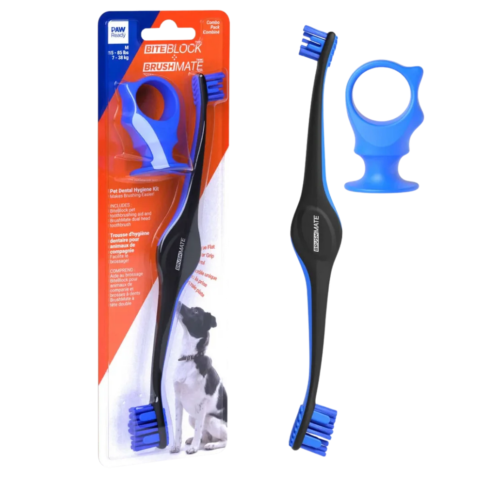 paw-ready-blue-brushmate-premium-toothbrush-with-biteblock-medium