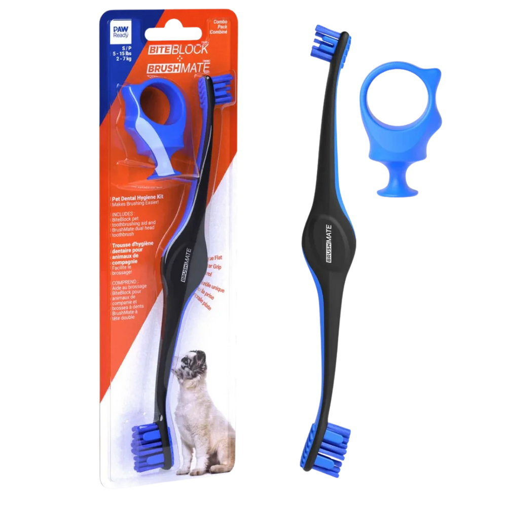 paw-ready-blue-brushmate-premium-toothbrush-with-biteblock-small