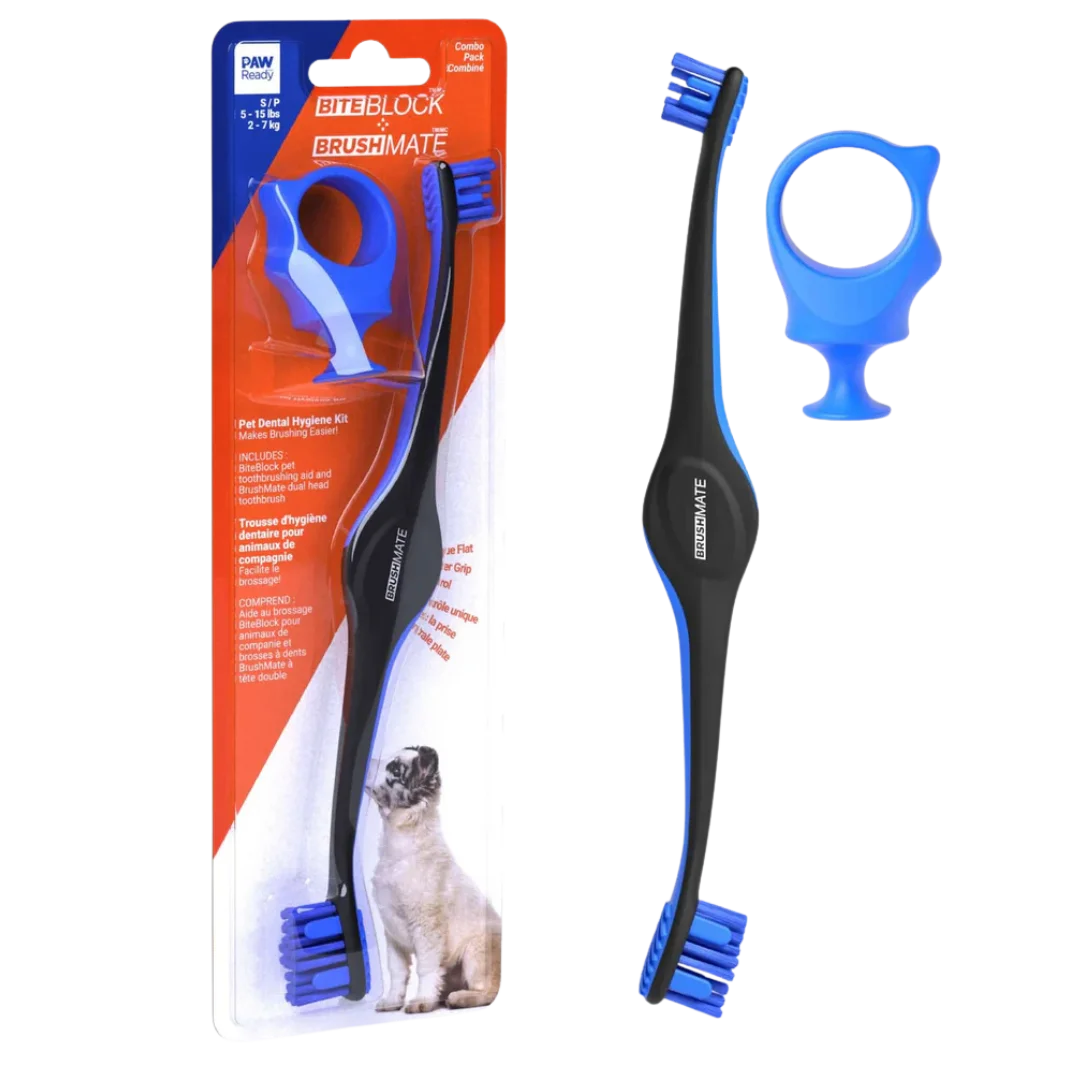 paw-ready-blue-brushmate-premium-toothbrush-with-biteblock-small