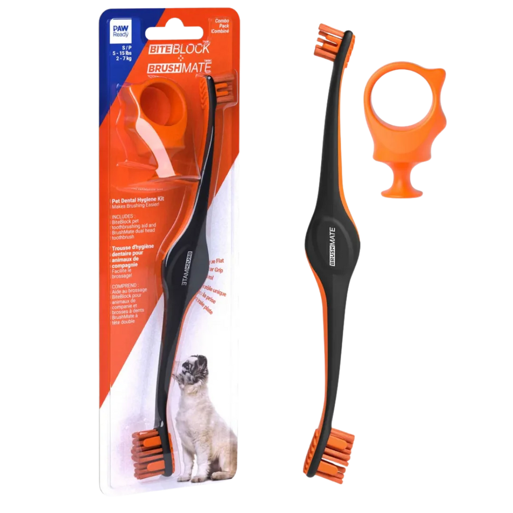 paw-ready-orange-brushmate-premium-toothbrush-with-biteblock-small
