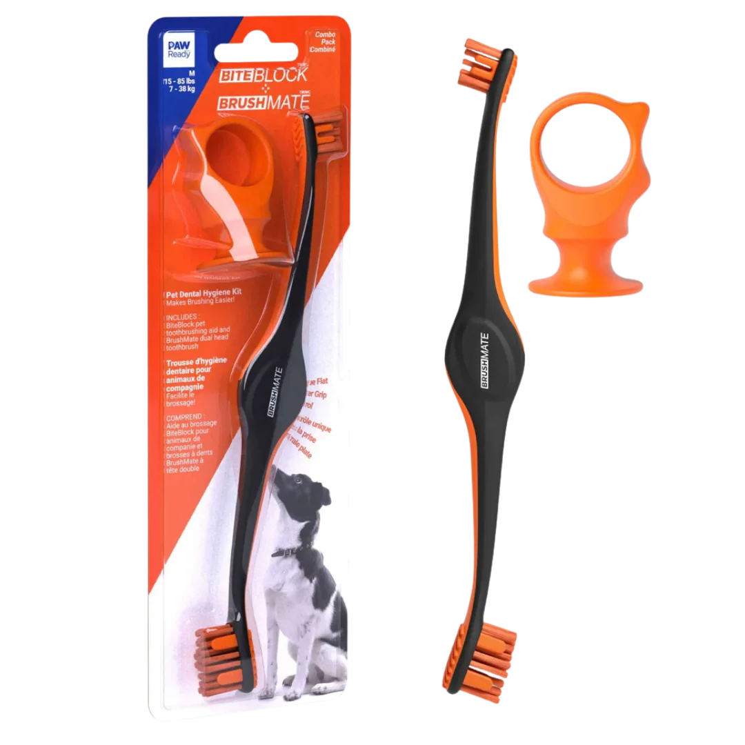 paw-ready-orange-brushmate-premium-toothbrush-with-biteblock-medium