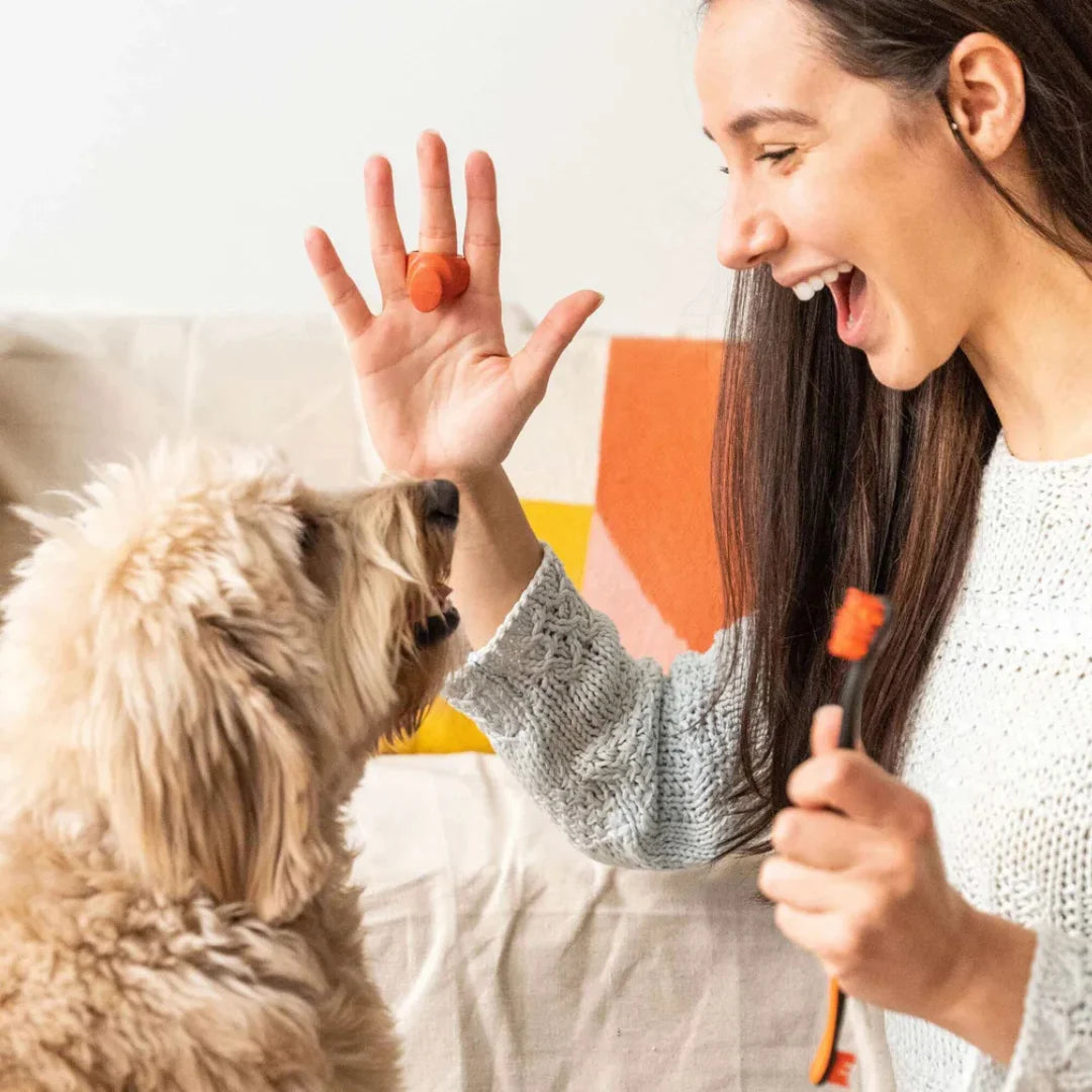 paw-ready-orange-brushmate-premium-toothbrush-with-biteblock