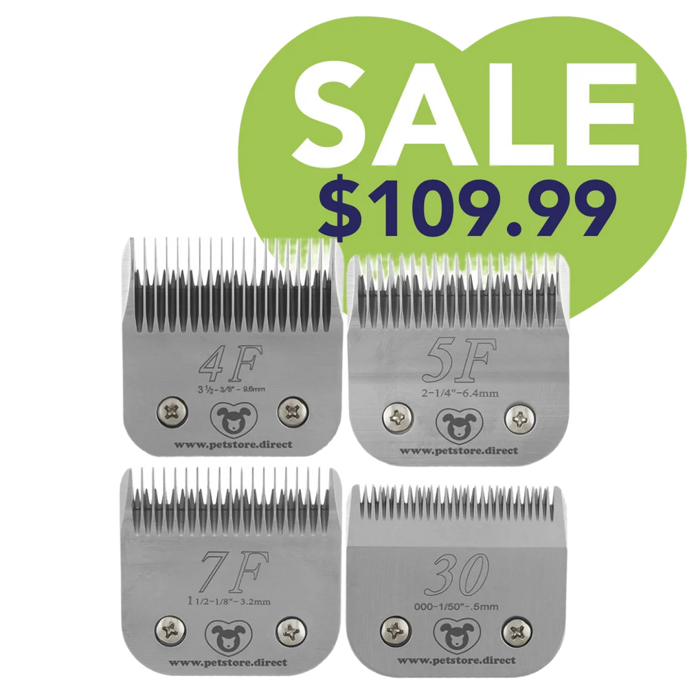 Best-Selling Regular Blades Set of 4 by PetStore.Direct
