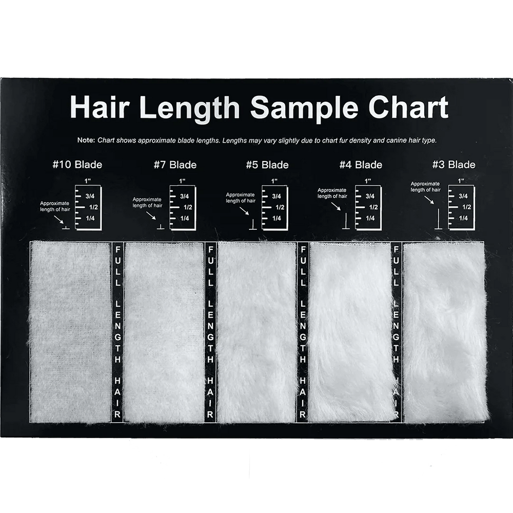 Hair Length Sample Chart by PetStore.Direct