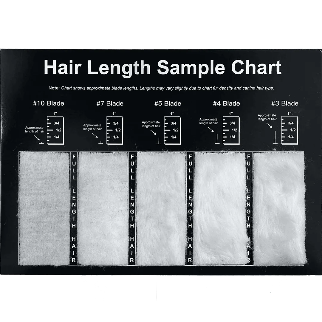 Hair Length Sample Chart by PetStore.Direct