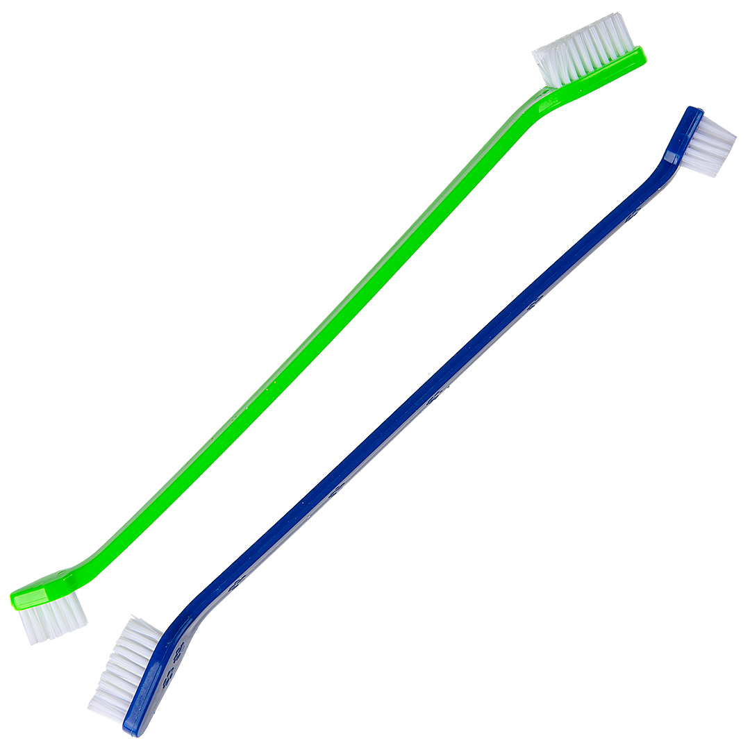 Dual-end Tooth Brushes Green/Blue by PetStore.Direct