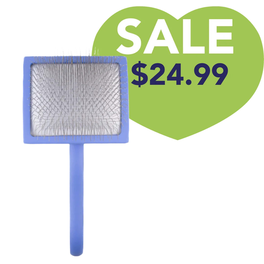 Large Curved Blue Dematting Brush by PetStore.Direct