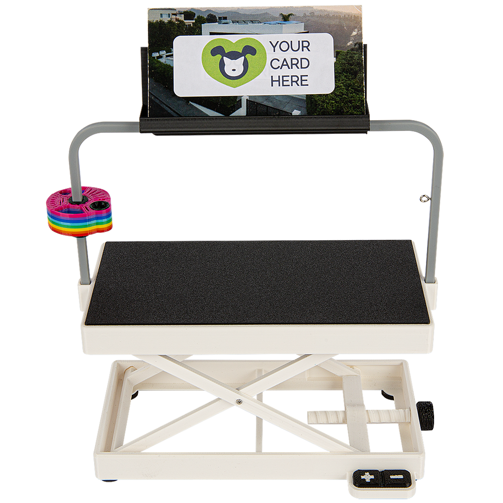Miniature Table Business Card Holder by PetStore.Direct