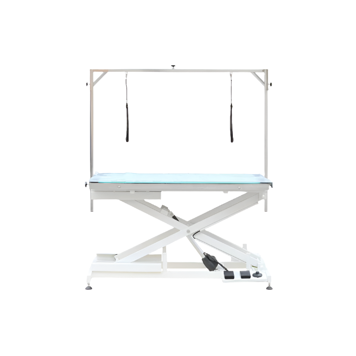 Premium LED Lighted Electric Table - 48