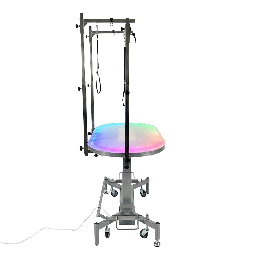 petstore-direct-premium-multi-color-led-electric-table-white-by-tzgroom