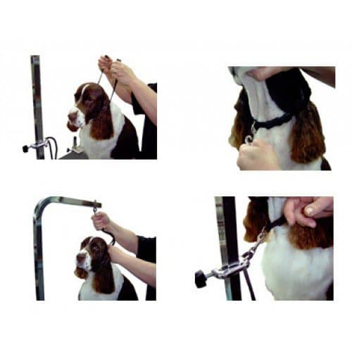 ZZZ ⅜" Small Grooming Loop by Groomer's Helper