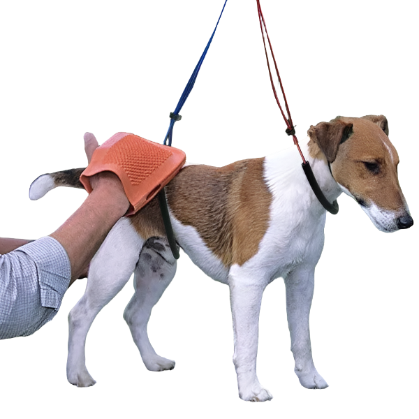 No-Sit Haunch Holder Regular by Proguard